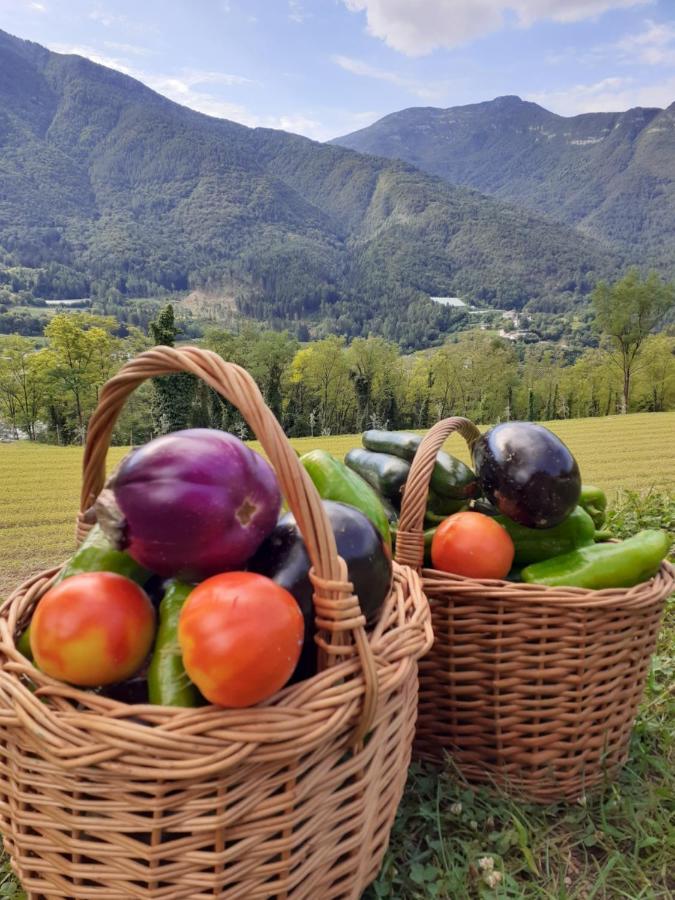 Coste Del Gaggio - Country House B&B - Garda Trentino Drena ภายนอก รูปภาพ