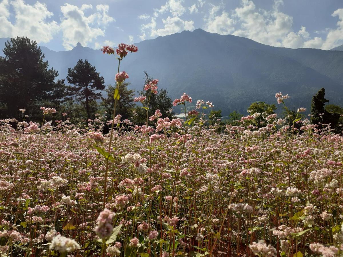 Coste Del Gaggio - Country House B&B - Garda Trentino Drena ภายนอก รูปภาพ