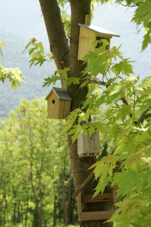 Coste Del Gaggio - Country House B&B - Garda Trentino Drena ภายนอก รูปภาพ