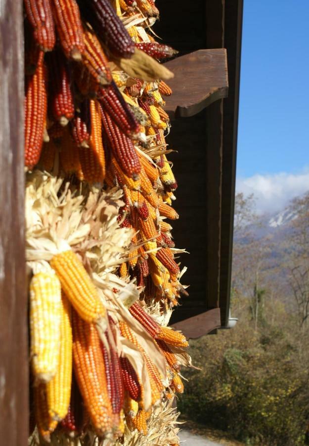 Coste Del Gaggio - Country House B&B - Garda Trentino Drena ภายนอก รูปภาพ